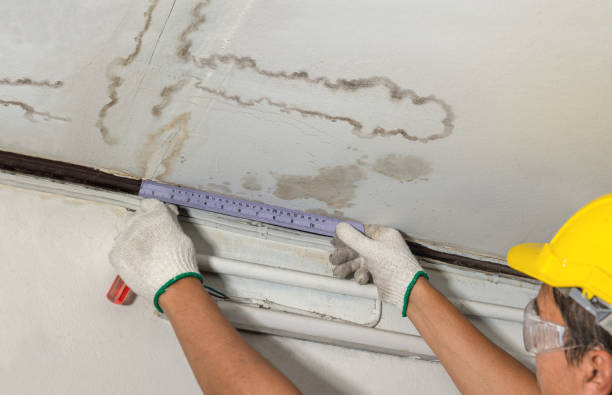 Affordable Basement Flood Cleanup solutions in Rockwood, ME